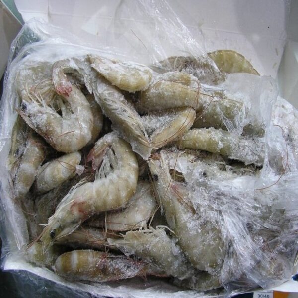 tiger Shrimps