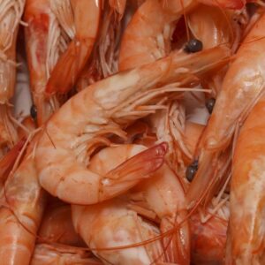 Argentine Red Shrimps